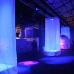 IMG_5856.jpg