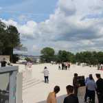 IMG 8258
